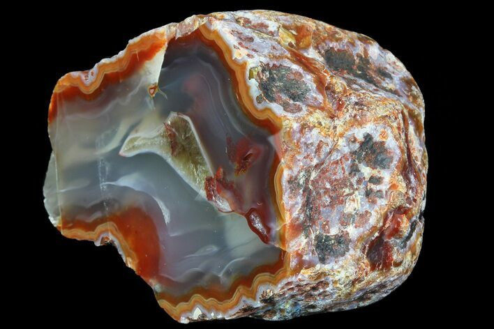 Beautiful Condor Agate From Argentina - Cut/Polished Face #79204